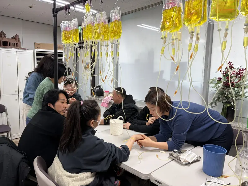 토브 활동 사진